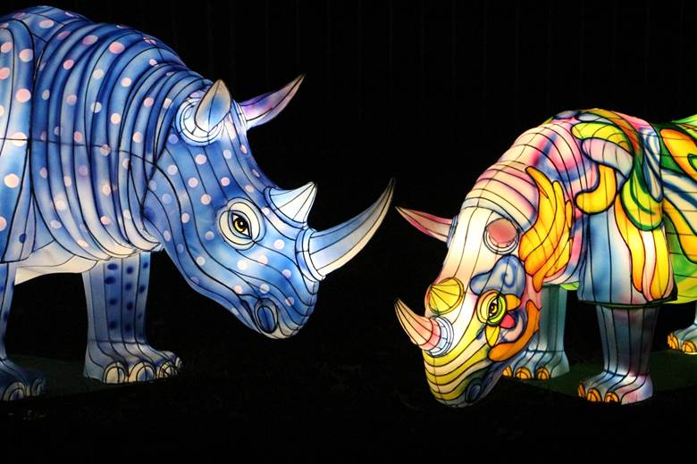 Novi Sad, Kineski festival svetla, Srbija